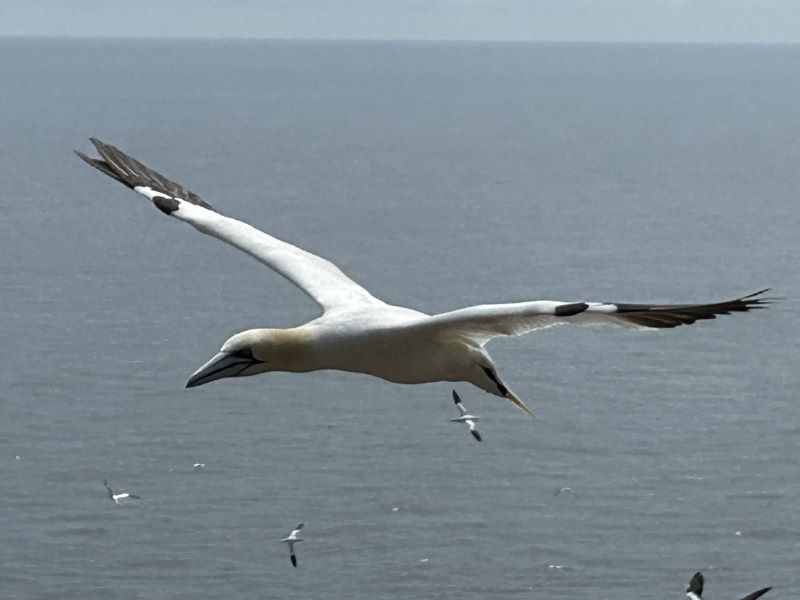 Exercice sur la confiance en soi