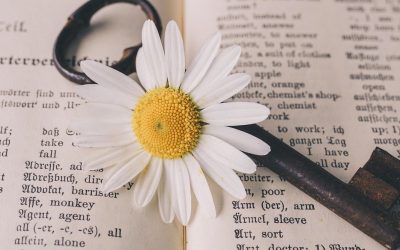 Les mots pour le dire